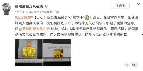 吃瓜小熊借款3000,揭秘借款背后的故事  第3张